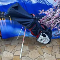 寶GG-251 DESCENTE キャディバッグ 重量約2.8kg スタンド式 - メルカリ