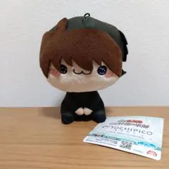 【新品タグ付き】忍たま乱太郎　もちぴこ　土井半助