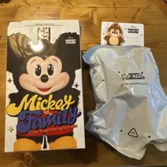 Mickey Family Cute Together keychain チップ