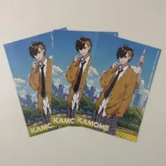 めろんぱーかー Kamomeポストカード