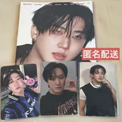 straykids スキズ チャンビン KARMA アコーディオン トレカ