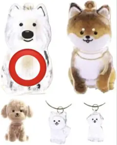 わんこのタイムカプセル