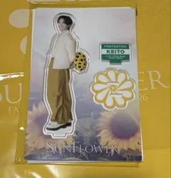 FANTASTICS SUNFLOWER アクスタ 木村慧人 アクリルスタンド