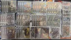 デュエルマスターズ　シータモルトVERSUS