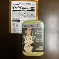 日本代表選手 x ハイキュー!! x VolleyBoo スクエア缶バッジ