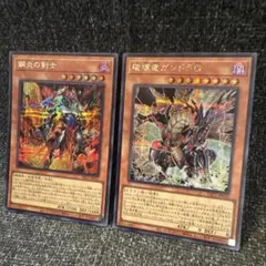 遊戯王 破壊竜ガンドラ 破壊竜ガンドラG 2枚セット 25th アジア 遊戯王 破壊竜ガンドラ 破壊竜ガンドラG 2枚セット 25th アジア - メルカリ