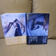 小説「二哈和他的白猫師尊」第8巻(ハスキーとかれのしろねこしずん