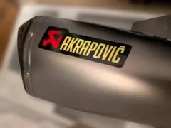 Puig プーチ BMW R1250R/R リアハガー - メルカリ