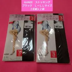 GUNZE ストッキング ブラック (Ｌ〜ＬＬサイズ) ３足組✕２袋セット