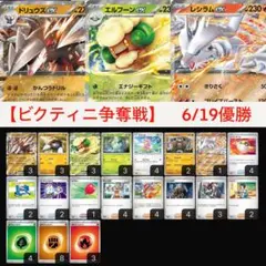 【ビクティニ争奪戦】6/19優勝 エルフーンex キュレムex 構築済みデッキ