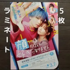 映画　顔だけじゃ好きになりません　ラミネート+　チラシ　フライヤー　５枚