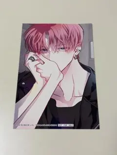 花とゆめ 多聞くん今どっち!? ブロマイド ポストカード