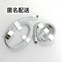 新品 Apple 純正 iPhone Lightning ケーブル セット