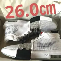 Item thumbnail for item 8497b59c-2164-4dcb-9175-0fa46fab0577