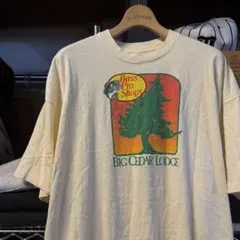 90s BANANA REPUBLIC サーフ Tシャツ バナリパ アート - メルカリ