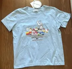 Item thumbnail for item 432f250e-cfe9-49a2-be33-bc9fa4b394dd