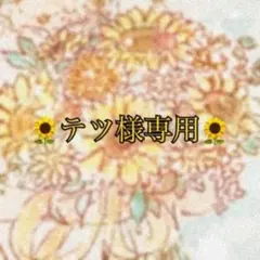 テツ様 リクエスト 3点 まとめ商品