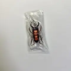 こびとづかんEXPO限定アクリルキーホルダー クワガタヨソオイM型