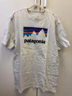 patagonia パタゴニア Tシャツ レディースSサイズ