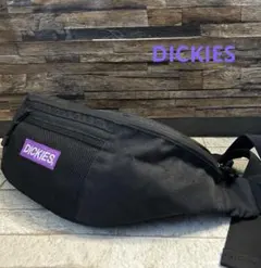 DICKIES/ディッキーズ　BOX LOGO MESH ロゴウエストバッグ