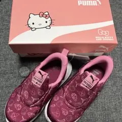 Item thumbnail for item 47040729-3acc-4247-89a0-c96f11594e7e