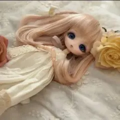 2026年最新】Harmonia bloom の人気アイテム - メルカリ