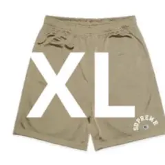 Supreme x Champion Mesh Short "Tan"