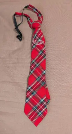 Item thumbnail for item dc49cfa2-bce8-411b-b474-35119fa3455f