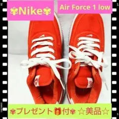 【⭐️ Nike⭐️】Air Force 1 low 624020 811