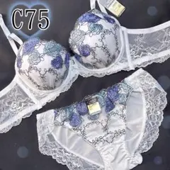 Item thumbnail for item ef95e48f-c3c5-40a3-8830-6f0de50bc907