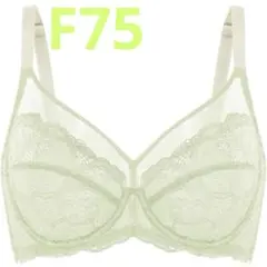 Item thumbnail for item f4db95a8-25e6-4022-b94e-b71354e080c2