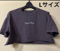 DAZY ダークグレー クロップドTシャツ Lサイズ