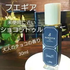 2026年最新】フエギア ショコアトルの人気アイテム - メルカリ
