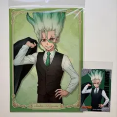 Dr.STONE 石神千空 Birthday クリアファイル - メルカリ