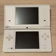 Nintendo NINTENDO DS ニンテンドー DSI ソフト付