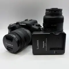 2026年最新】Lumix G2 レンズの人気アイテム - メルカリ