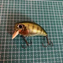 Item thumbnail for item baa51462-23e0-41be-b9a2-78bfcee1c573