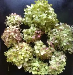 ♪riitann000♪様 リクエスト 3点 まとめ商品