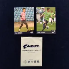 Item thumbnail for item 518ce2e3-be18-4baa-a46d-fcbf8142e92c