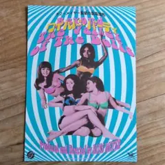 映画チラシ / フライヤー / ワイルド・パーティー