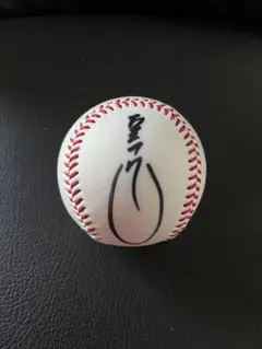 元東北楽天ゴールデンイーグルス7山崎武司直筆サインボール 楽天イーグルス 山崎武司 記念ボールセット - メルカリ