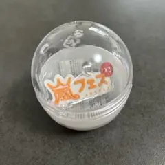 嵐 会場限定歴代ツアーロゴマグネット ガチャ アラフェス13 アラフェス2013