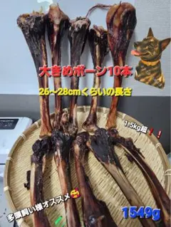 長持ちガジガジおやつ】でっかいネックボーン 鹿の首肉骨のジャーキー