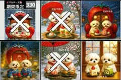 【330】CK様レアパネル生地　マルチーズ