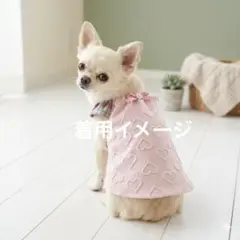 Item thumbnail for item a62f5ac6-0ba3-4fd2-a99a-81b8616f8bb0