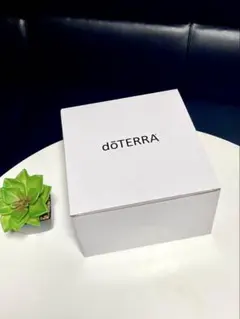 2025年最新】doterra ウッドボックスの人気アイテム - メルカリ