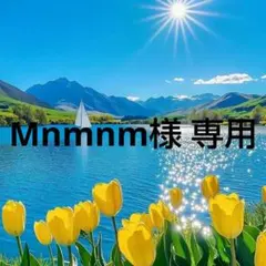 Mnmnm様 専用