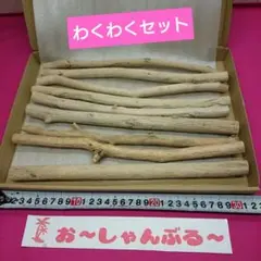 流木セットno.385