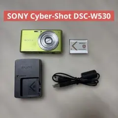 2026年最新】DSC-W530の人気アイテム - メルカリ