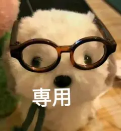 専用